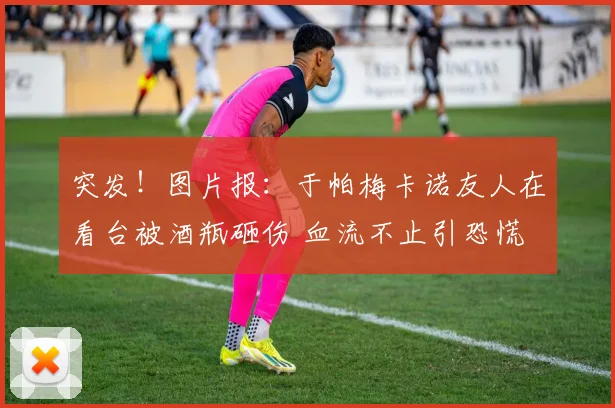 突发！图片报：于帕梅卡诺友人在看台被酒瓶砸伤 血流不止引恐慌