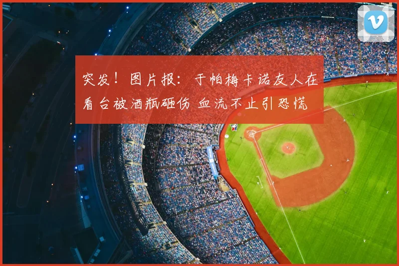突发!图片报:于帕梅卡诺友人在看台被酒瓶砸伤 血流不止引恐慌
